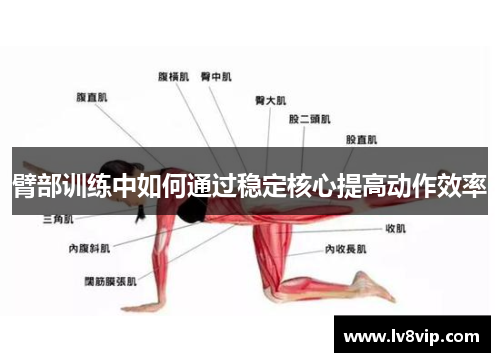 臂部训练中如何通过稳定核心提高动作效率